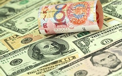 全国同步调查 泉州稀有候鸟数量稳步上升